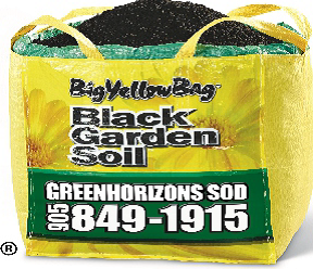Big Yellow Bag